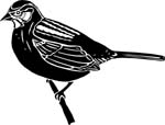 birdssparrow