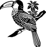 birdstoucan