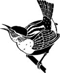 birdswren