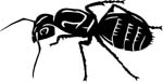 bugs6701