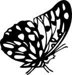 bugs6704