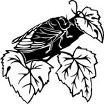 bugs6706