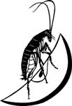 bugs6707