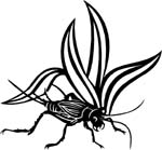 bugs6709