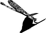 bugs6710