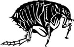 bugs6712
