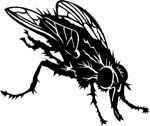 bugs6713