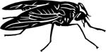 bugs6717