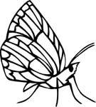 bugs6719