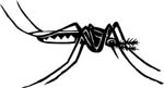 bugs6720