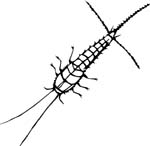 bugs6724