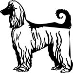 dogs7201