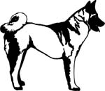 dogs7202