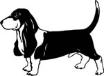 dogs7203