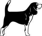 dogs7204