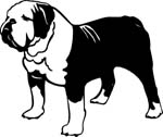 dogs7206
