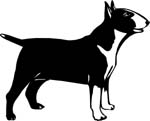 dogs7207