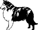 dogs7209