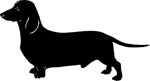 dogs7210