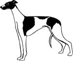 dogs7212