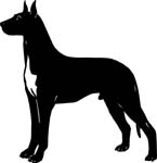 dogs7213