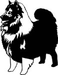 dogs7214