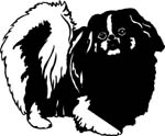 dogs7216