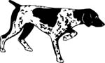dogs7217