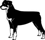 dogs7221