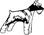 dogs7222