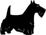 dogs7223