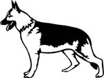 dogs7224