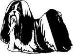 dogs7225