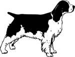 dogs7226