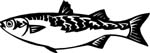 fish6301
