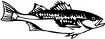 fish6302