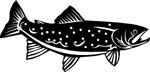 fish6303