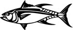 fish6304