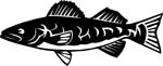 fish6305