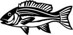 fish6306