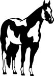 horses7117