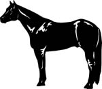 horses7118