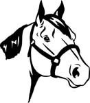 horses7119