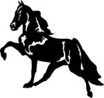 horses7126