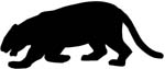 panther