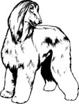 pets0101