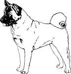 pets0102