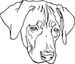 pets0103