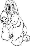 pets0104
