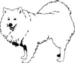 pets0105